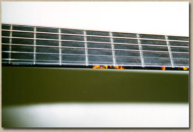 tn_2071 - side fretboard 1.jpg (35657 bytes)